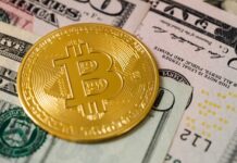 Could Crypto Be the Answer to a Universal Currency?