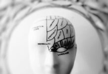 Positive Effects of Word Unscrambling on Your Memory