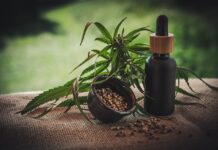 5 Delicious Ways to Consume CBD Oil
