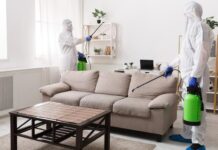 How To Prepare Your House For A Rodent Control Services – 2024 Guide