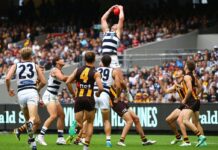 AFL Betting Tips And Strategies To Help You Win in 2024
