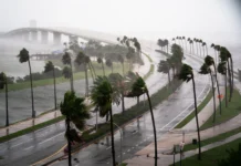 Hurricane Preparedness For Small Business Owners: How To Do It Properly in 2024