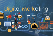 Building a Strong Online Presence: The Role of Digital Marketing in Business Growth