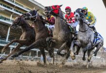 Reasons to Watch Kentucky Derby 2024 Watch Kentucky Derby