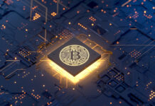 Master the Art of Shorting Crypto and Boost Your Keyword Research