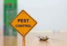 The Battle Against Pests: Effective Home Pest Control Solutions