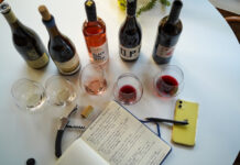 Exploring Wine Diversity: Your Passport to Different Varietals Exploring Wine Diversity - Your Passport to Different Varietals