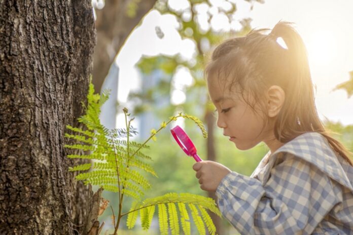 Integrating Nature In Early Education