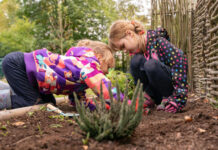 The Power Of Nature-Based Learning For Young Children The Power Of Nature-Based Learning For Young Children