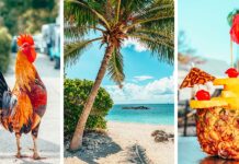 Discovering Key West: A Guide to Must-Do Activities and Tips
