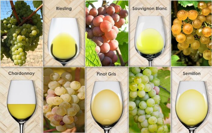 White grapes Varietals