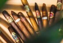 The World of Cigars: Exploring Different Types and Their Price Tags