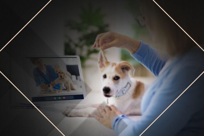 Advanced Veterinary Telemedicine Integration