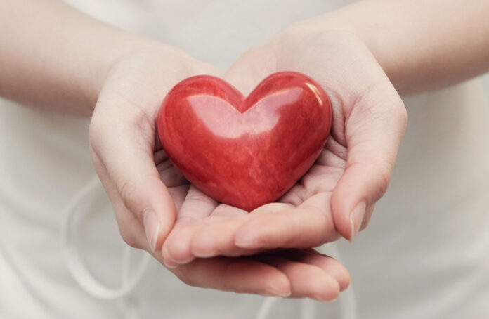 woman holding red heart, health insurance, donation charity conc