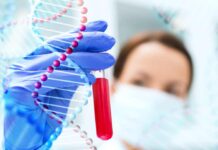 Redefining Healthcare with Montreal’s Blood Test Innovations