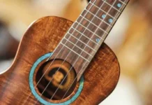 Ukulele: Which Strings to Choose – 2024 Guide Ukulele Strings