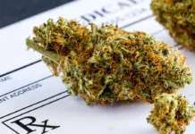 Delta 9 Dos and Don’ts: How Much Should You Take? Tips for a Positive Experience