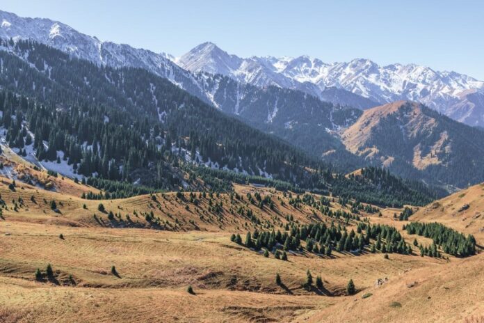 Why is the Environment in Central Asia Relatively Clean
